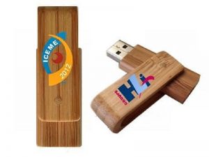 cle-usb-twister-bois