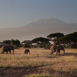 Un dépaysement garanti lors d’un séjour au Kenya