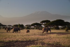 Un dépaysement garanti lors d’un séjour au Kenya