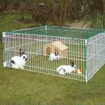 Faut-il mieux acheter une cage à lapin ou un enclos à lapin ?