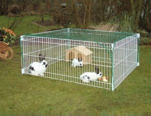 Faut-il mieux acheter une cage à lapin ou un enclos à lapin ?