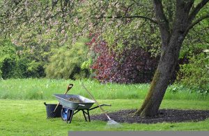 entretien jardin agen