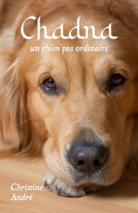 Chadna une chienne golden retriever