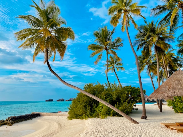 Quelles sont les 15 plages de rêve pour des vacances parfaites ?