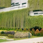 l'immobilier vert