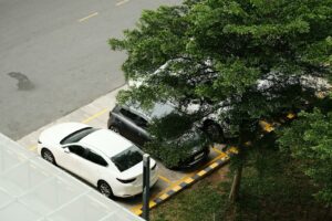 deux voitures garées sur un parking à côté d'un arbre